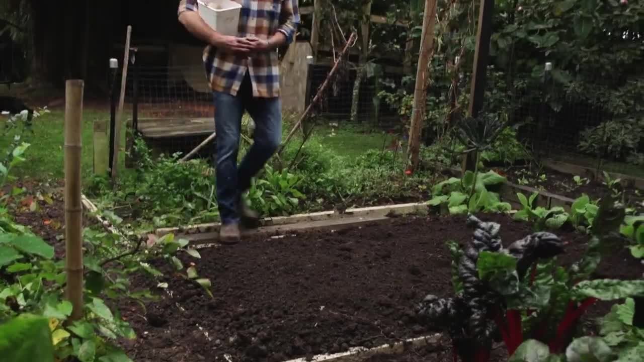 How to plant garlic!!