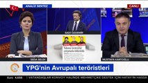 PKK/PYD'li teröristler Avrupalı