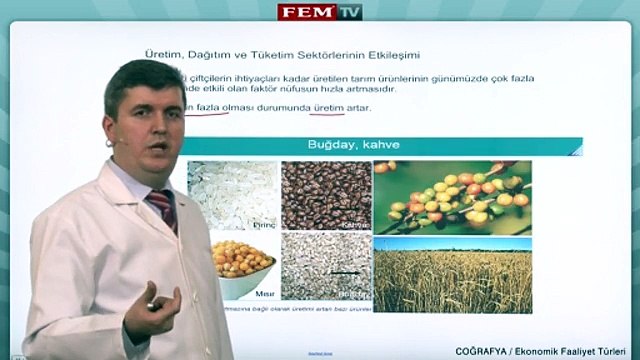 ygs lys coğrafya Beseri Sistemler - Ekonomik Faaliyet Turleri - 2