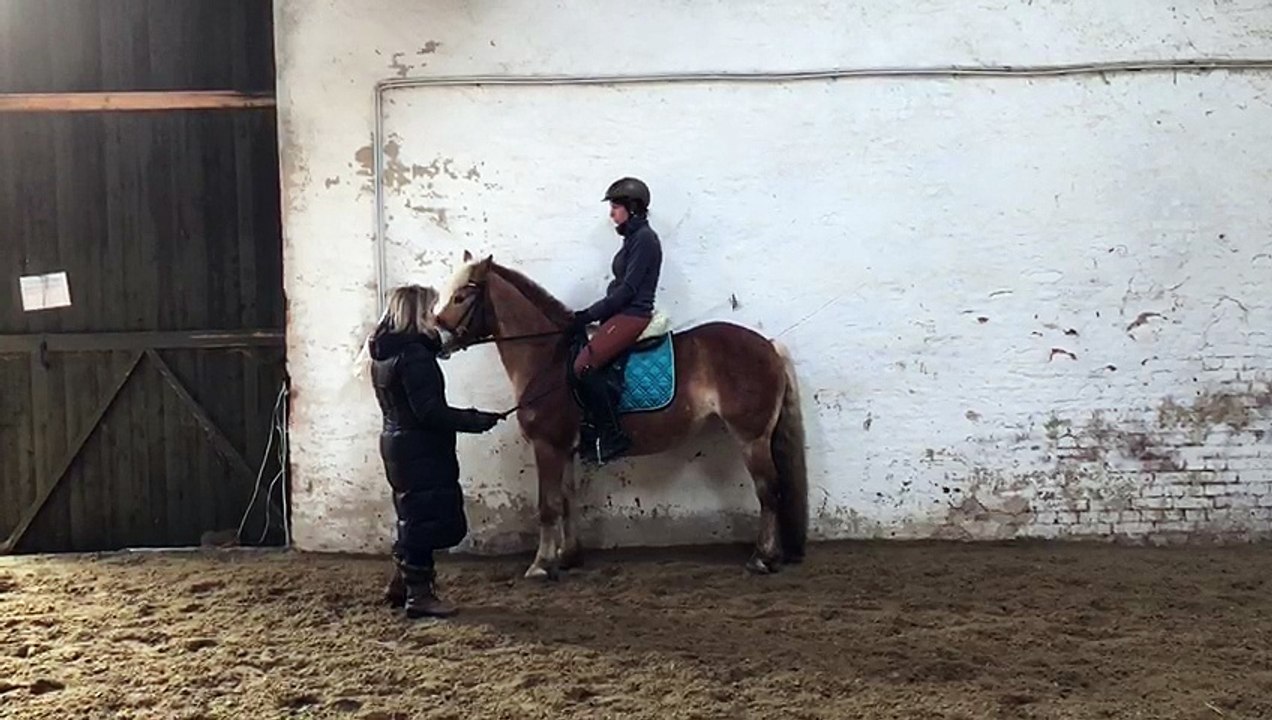 Erste gerittene Piaffe Februar 2018