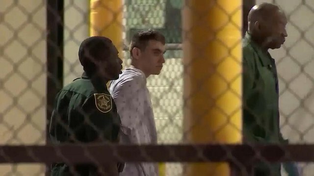 Школьный стрелок Николас Круз признал себя виновным