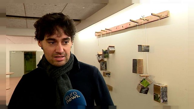 Elezioni: il Movimento Cinque Stelle presenta il programma per la circoscrizione Europa