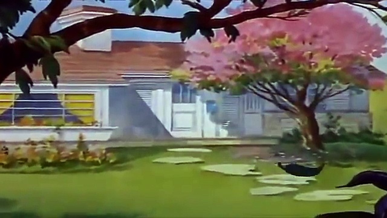 Cartoons For Kids Tom And Jerry English Ep. - Springtime for Thomas  - Cartoons For Kids Tv