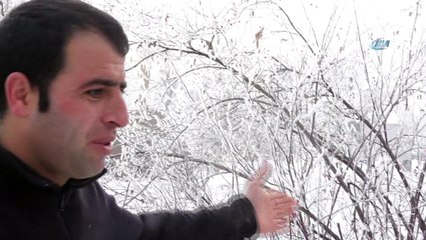 Doğu Anadolu buz tuttu