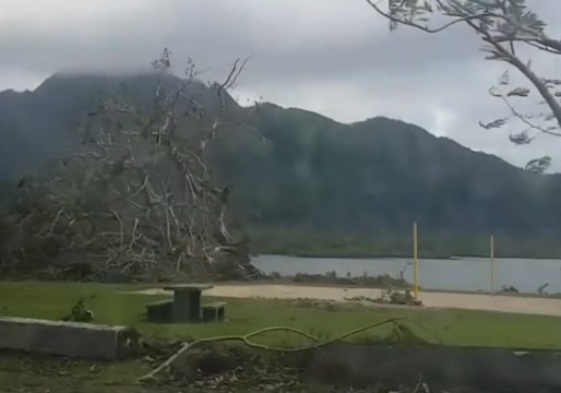 Fallen Trees Strewn About Park in Hurricane Gita Aftermath