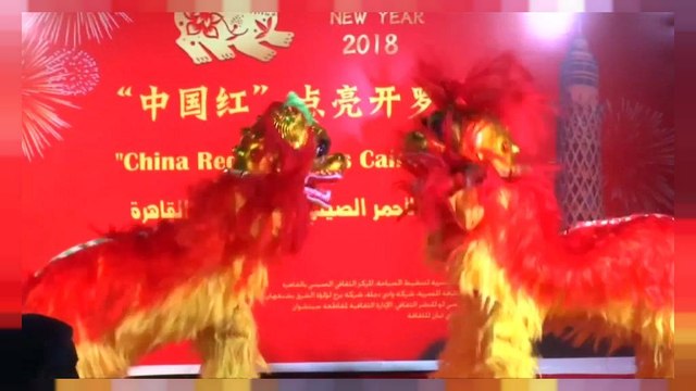 В мире отмечают лунный Нового года