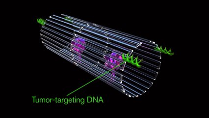 Ce nanorobot serait capable d'asphyxier les tumeurs