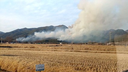 [휴일 사건·사고] 설날 야산·주택 화재 잇따라 / YTN