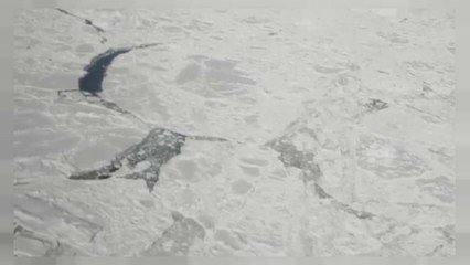 أولى اللقطات للجبل الجليدي الضخم المنفصل عن القطب الجنوبي