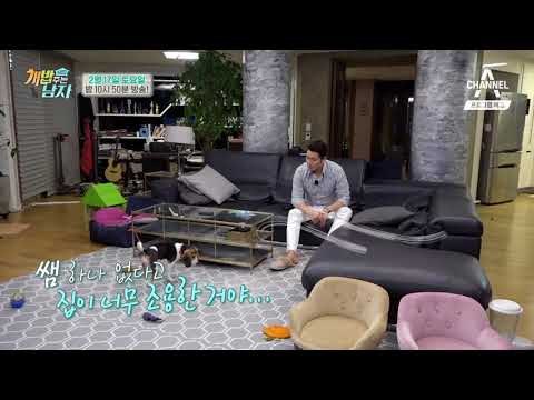 [개밥남 예고] 질투 폭발 비글 남매 분리 작전! (feat. 강남 수난기) / 채널A 개밥주는남자 시즌 2 43회