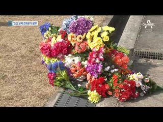 조상님께 조화 대신 생화를…화훼농가 ‘호소’