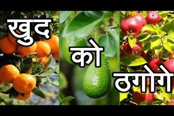 खुद को ठगोगे  Khud Ko Thagogey