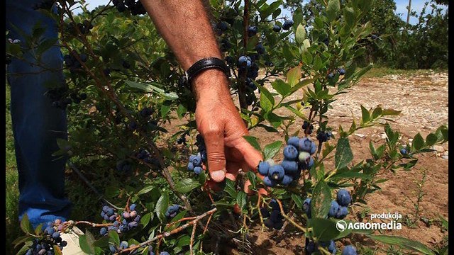 Poljoprivredna emisija Svet poljoprivrede - 509. epizoda