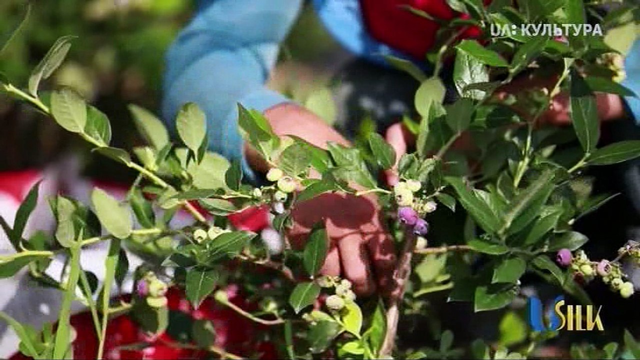Весняний фестиваль-3