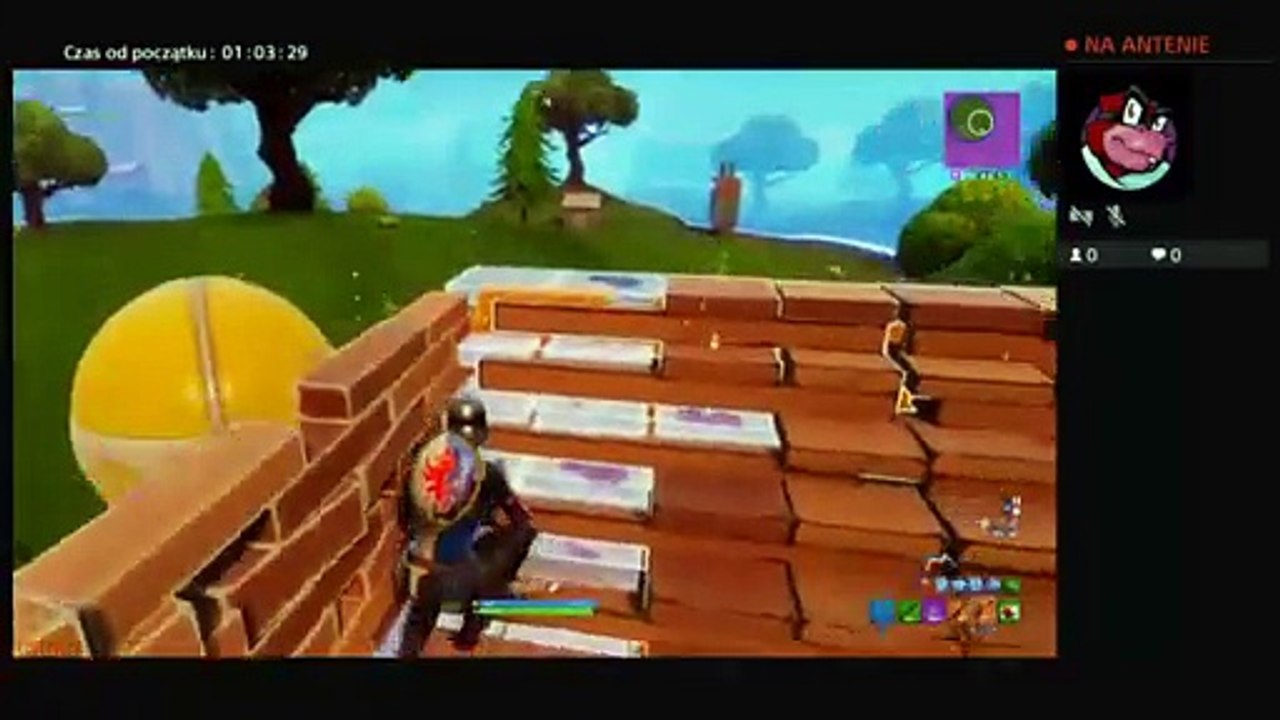 Fortnite (119)