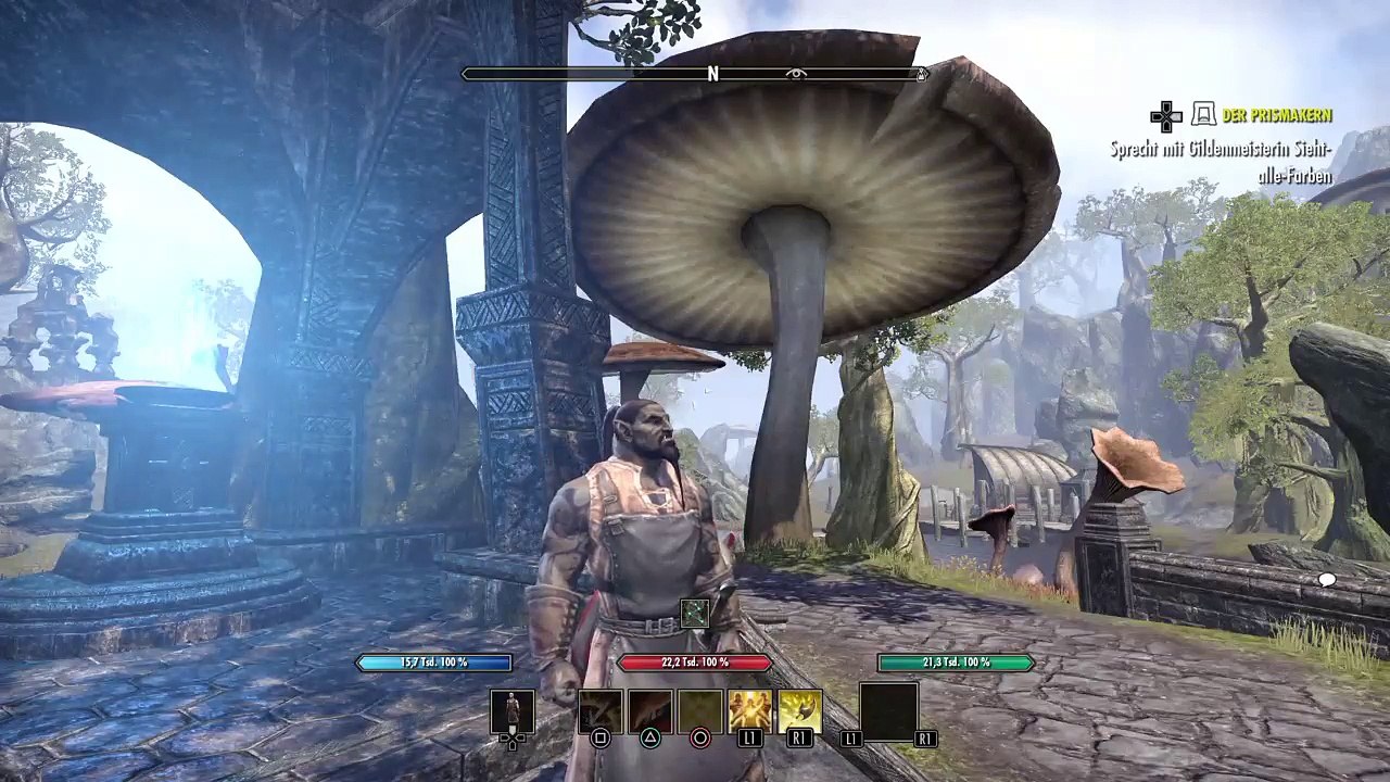 DonAleszandro The Elder Scrolls «-Kriegergilde : Der Prismakern-» (627)