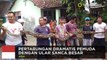Ular piton sepanjang 5 meter ditangkap dan dimasak warga Sarawak - TomoNews