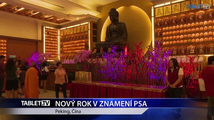 NOVY ROK V ZNAMENI PSA