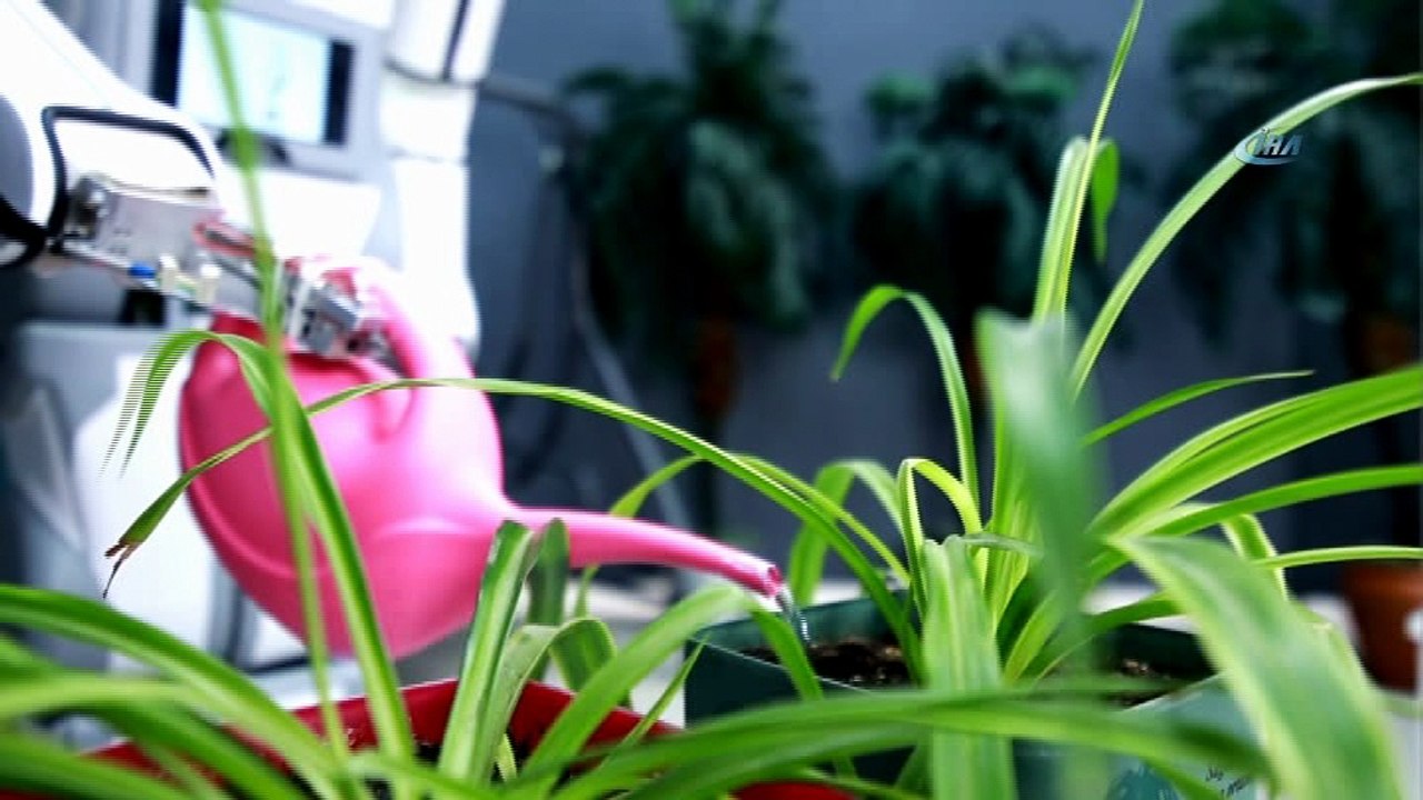 Milli Robot ADA GH5 mangal yapıyor oyun havasında dans ediyor