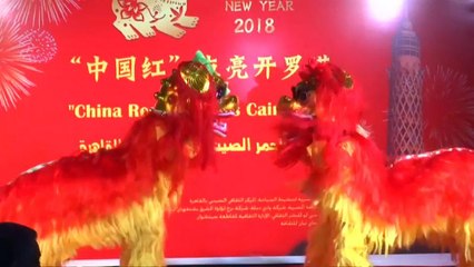 Le nouvel an chinois, sous le signe du chien