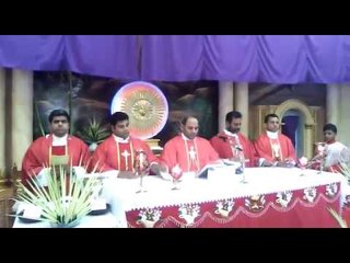 People doing prayer on the occasion of Palm Sunday