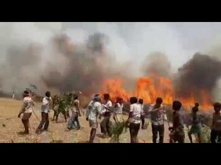 Wheat Crop catch a vast fire in Barabanki