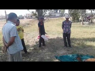 in lalkuan leppard entered the cowshed and built the animal