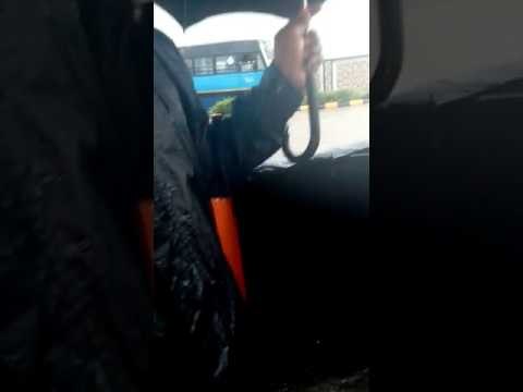 उत्तराखंड में अलर्ट: तेज बारिश से उफान पर नदियां, केदारनाथ यात्रा रुकी