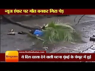 A news anchor dies after a tree falls on her in Mumbai