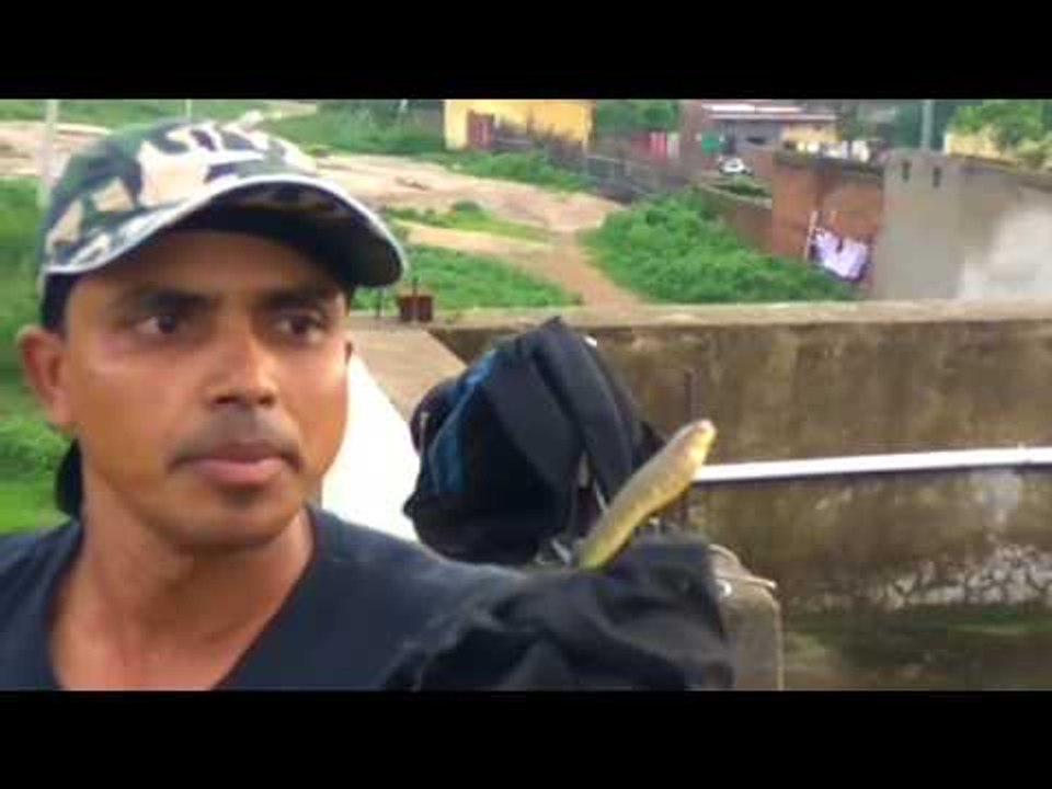 सांपों से प्यार ने विवेकानंद को बनाया स्नैककैचर II Vivekananda snakecathcer, Jharkhand