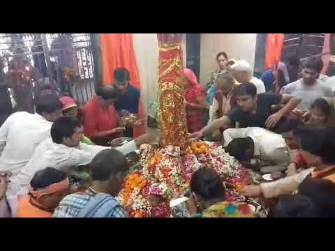 नवरात्र के पहले दिन मां दुर्गा के शैलपुत्री स्वरूप की हुई पूजा