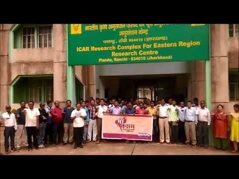 रांची में आईसीएआर केंद्र प्लांडू में वैज्ञानिकों ने लिया स्वच्छता का संकल्प