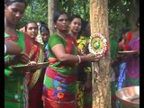 Jharkhand : Women celebrated in this unique style of Rakshabandhan to save the trees