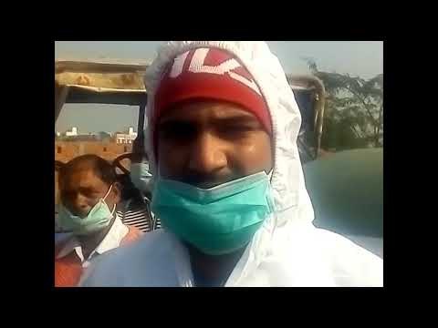 कानपुर में एक घोड़े और पांच खच्चरों को दिया जहर का इंजेक्शन