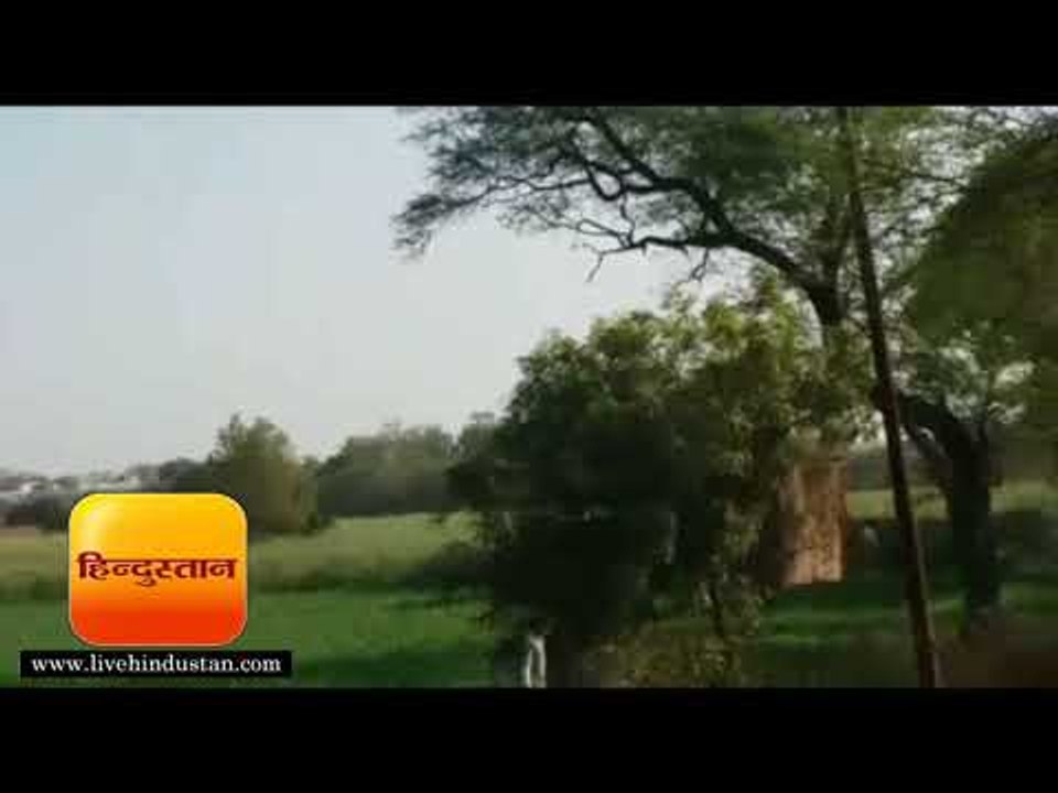ताज़ा समाचार || मथुरा स्थित सीह के जंगलों में अप...