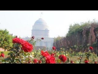 मुगल गार्डन कल से खुलेगा, देखने को मिलेंगे 135 किस्म के गुलाब