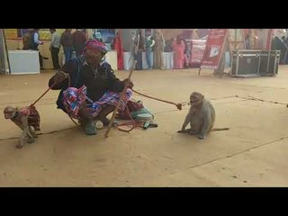 वाराणसी में राजस्थानी मेले का आयोजन I Rajasthan Fairs in Varanasi