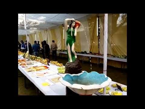 महामना जयंती बीएचयू में लगाई गई पुष्प प्रदर्शनीI Flower exhibition in BHU