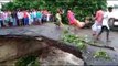 woman with 2 children washed away as culvert collapsed in araria