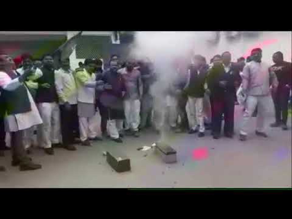 सीएम योगी ने जीत पर दी बधाई तो भाजपा नेताओं ने मनाया जश्न