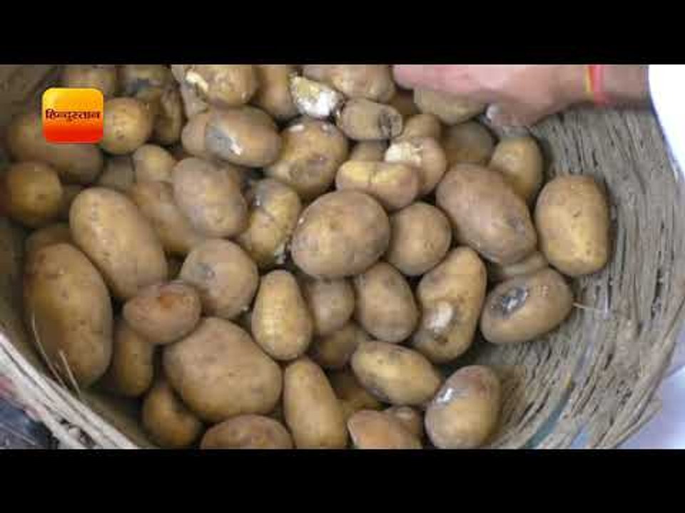 बाढ़ पीड़ितों को बांट दिए सड़े आलू II officers distributed bad potatoes in lakhimpur, UP