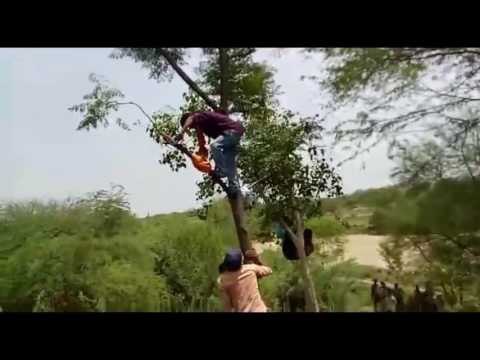 man climbs on tree insistence of temple inauguration from CM Yogi came down