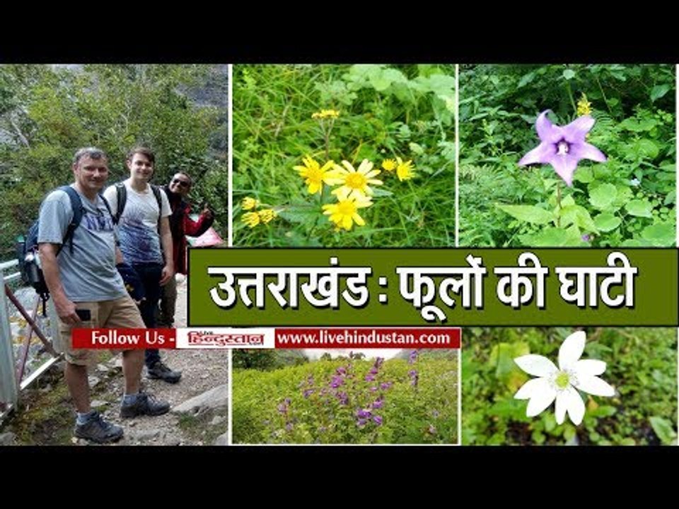 Flower Valley National Park Open for Tourists II उत्तराखंड : फूलों की घाटी पर्यटकों के लिए खुली
