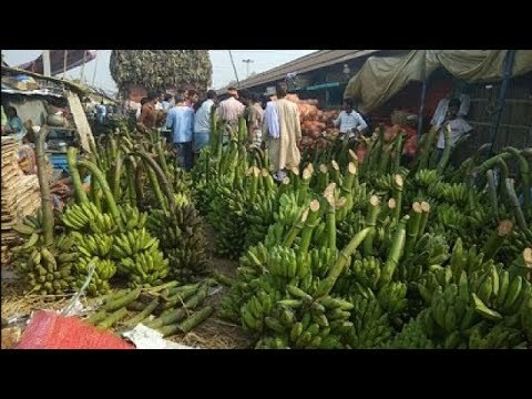छठ पूजा 2017ः नहाय खाय के दिन छठ घाटों पर उमड़ा जन सैलाब