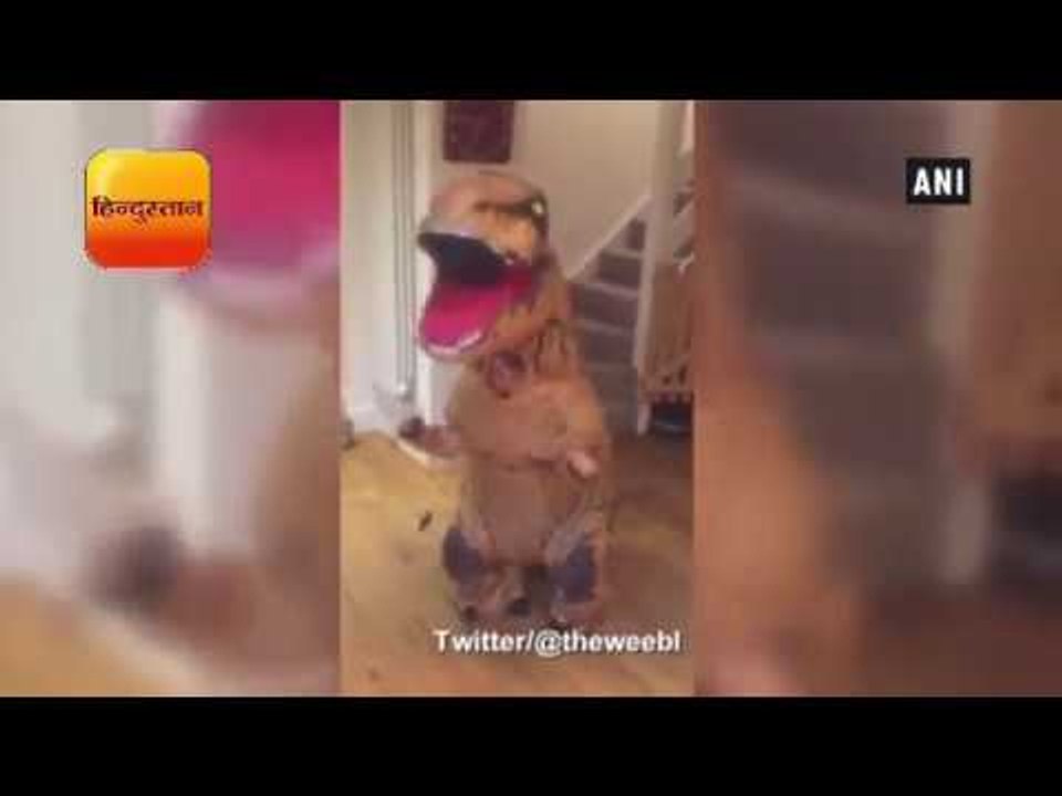 हेलोवीन कॉस्ट्यूम में 6 साल के बच्चे ने किया डांस II 6-year-old dances in T-Rex Halloween costume