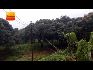 बागेश्वर में भारी बारिश से जन जीवन प्रभावित।