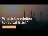 'The solution to Radical Islam is Modern Islam' -  Daniel Pipes