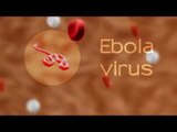 How companies are combating Ebola virus