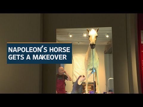 Napoleon's horse gets a makeover