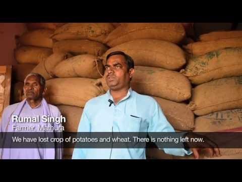 Unseasonal rains deepen distress and debt on farms